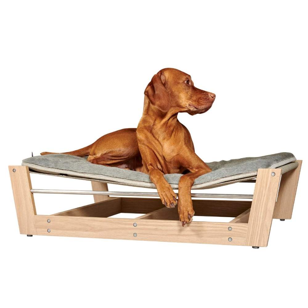 A dog comfortably lying on the Bowsers Yugen Pet Lounger, highlighting its supportive and elevated design