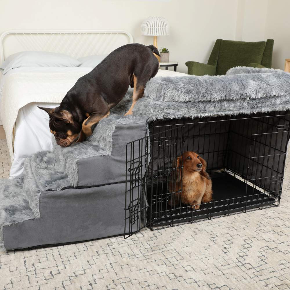 A Dog Bed How To Get My Puppy To Sleep In Her Crate Your Puppy