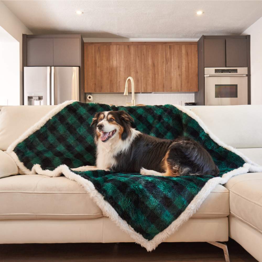 A dog is comfortably lying on a couch covered with the Paw PupProtector™ Waterproof Throw Blanket - Green Buffalo Plaid Dog On A Blanket