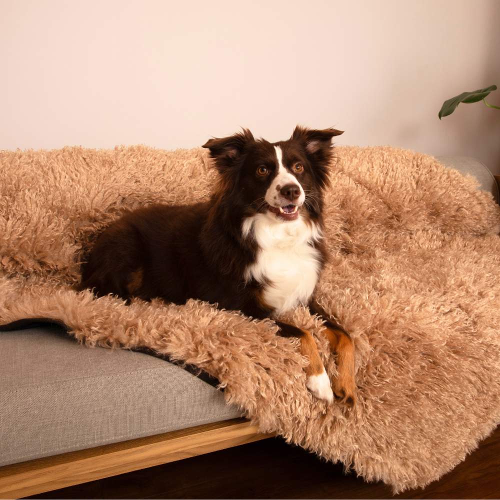 A dog is lying comfortably on the Paw PupProtector™ Waterproof Throw Blanket - Plush Sheep, placed on a couch