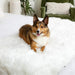 A dog is lying on a bed covered with the Paw PupProtector™ Waterproof Bed Runner - Polar White