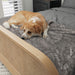 A dog is lying on a bed covered with the Paw PupProtector™ Waterproof Bed Runner - Ultra Soft Chinchilla