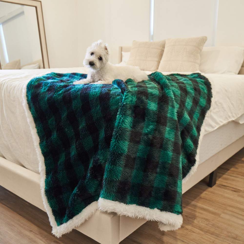 A dog is lying on a bed covered with the Paw PupProtector™ Waterproof Throw Blanket - Green Buffalo Plaid Calming Dog Blanket