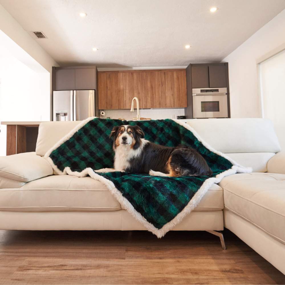 A dog is lying on a couch covered with the Paw PupProtector™ Waterproof Throw Blanket - Green Buffalo Plaid