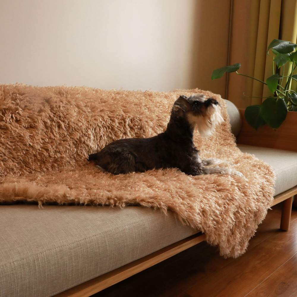 A dog is lying on a couch covered with the Paw PupProtector™ Waterproof Throw Blanket - Plush Sheep