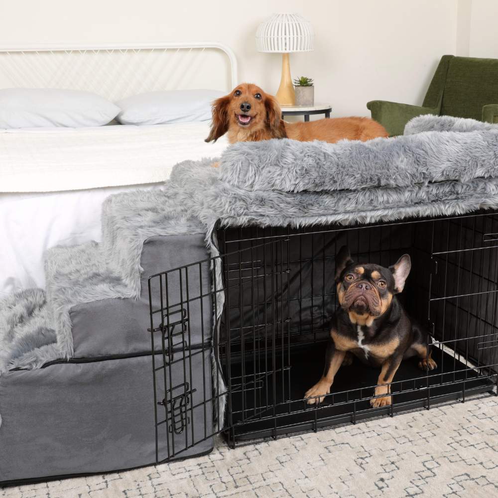 A dog is lying on top of the Paw Pet Bedside Sleeper Crate Kit & Stairs while another dog sits inside the pet crate section underneath