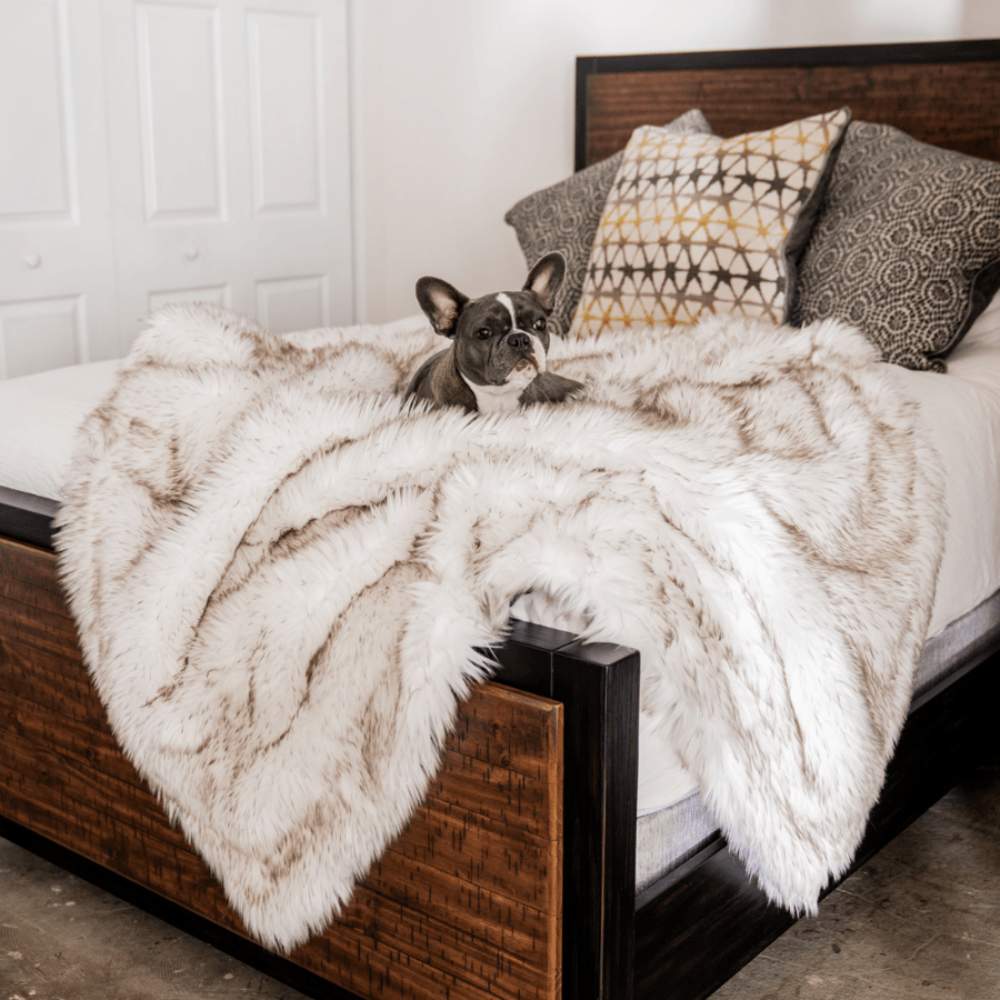 A dog is peacefully resting on a bed featuring the Paw PupProtector™ Waterproof Throw Blanket - White with Brown Accents