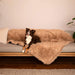 A dog is sitting on a couch with the Paw PupProtector™ Waterproof Throw Blanket - Plush Sheep spread out