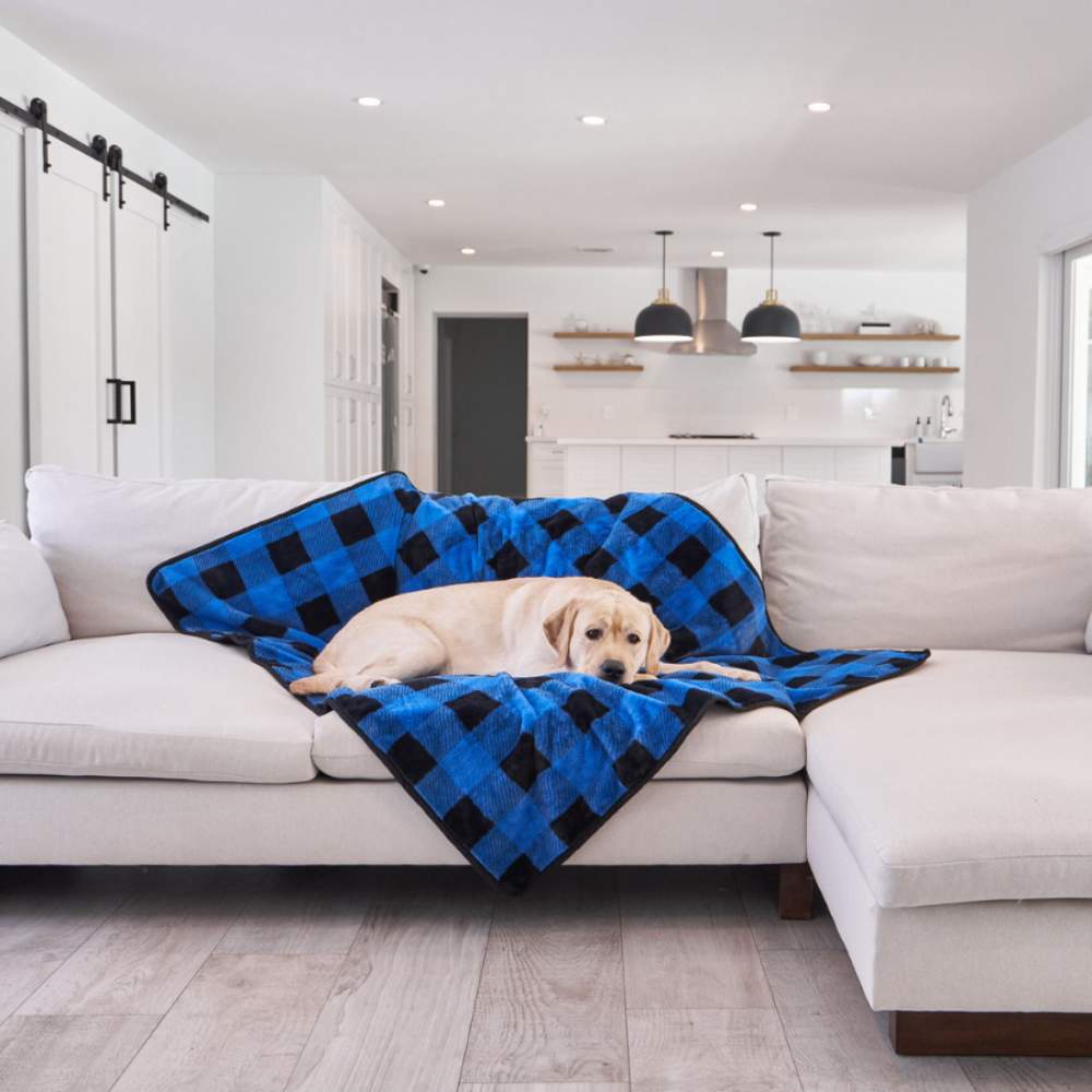 A dog lounges on a couch covered with a Paw PupProtector™ Short Fur Waterproof Throw Blanket - Blue Plaid Dog Blanket