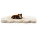 A dog lounging on a Paw PupRug™ Runner Faux Fur Memory Foam Dog Bed Curve White with Brown Accents against a plain white background