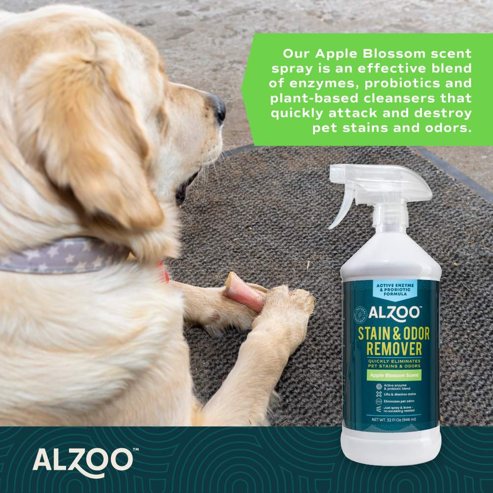 A dog lying near the ALZOO Enzyme-Based Stain & Odor Remover Spray 32oz - Apple Blossom bottle on a mat