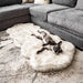 A dog lying on a Paw PupRug™ Runner Faux Fur Memory Foam Dog Bed Curve White with Brown Accents in front of a grey sectional couch
