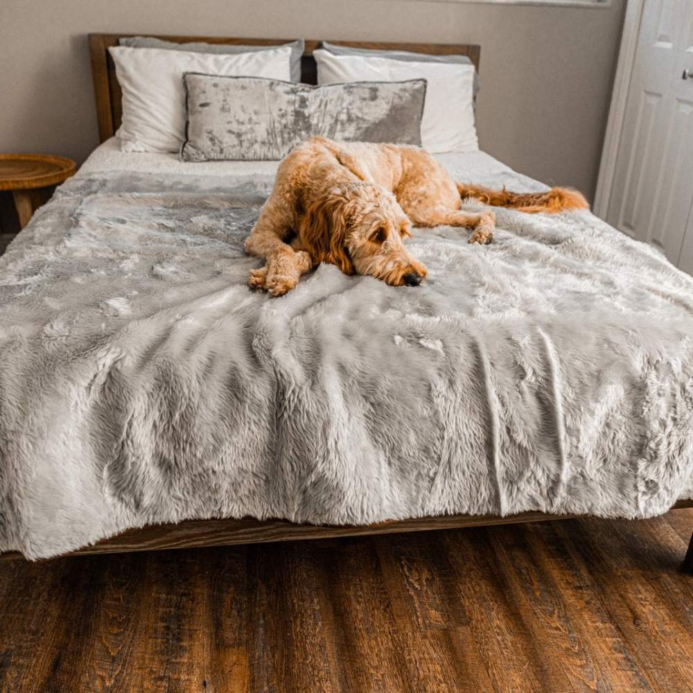 A dog lying on a bed, which is covered with the Paw PupProtector™ Short Fur Waterproof Throw Blanket - Grey