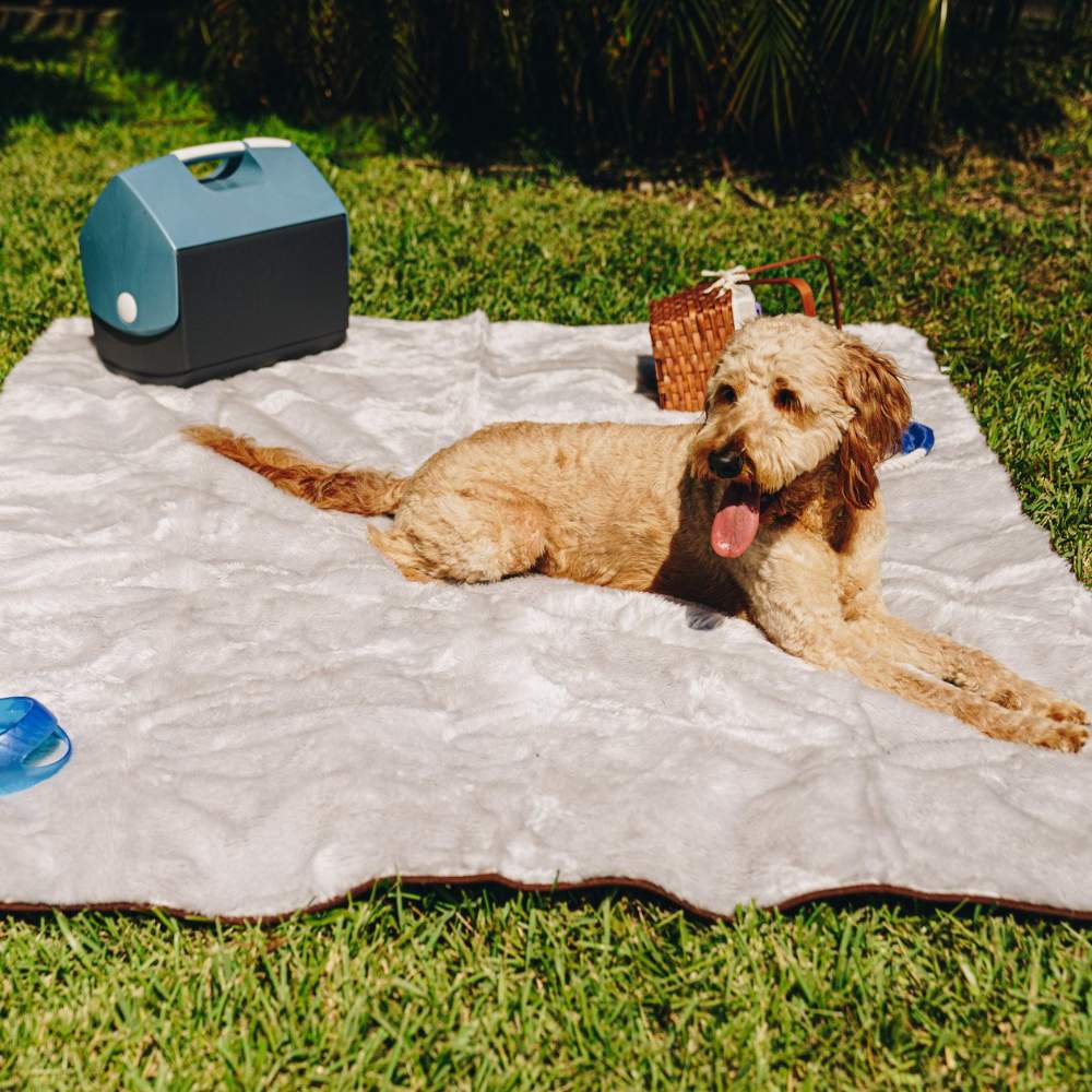 A dog lying on a grey blanket spread out on grass, showcasing the outdoor use of the Paw PupProtector™ Short Fur Waterproof Throw Blanket - Grey Dog Blankets