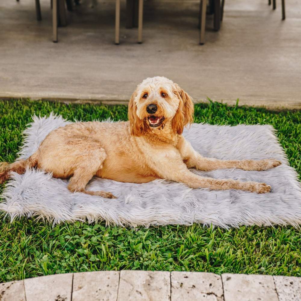 A dog lying on the Grey Paw PupRug™ Portable Orthopedic Dog Bed outdoors on the grass