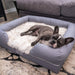 A dog peacefully sleeping on the Paw PupLounge™ Memory Foam Bolster Dog Bed & Topper