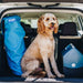 A dog sitting in the back of a car with the White with Brown Accents Paw PupRug™ Portable Orthopedic Dog Bed and a blue travel bag beside it