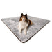 A dog sitting on the Paw PupProtector™ Short Fur Waterproof Throw Blanket - Grey, spread out flat