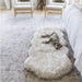 A dog sleeping comfortably on a Paw PupRug™ Runner Faux Fur Memory Foam Dog Bed Curve White with Brown Accents in a bright, airy bedroom