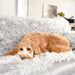 A fluffy dog is lying on a couch with the Paw PupProtector™ Waterproof Throw Blanket - Grey Dog Blanket For Couch