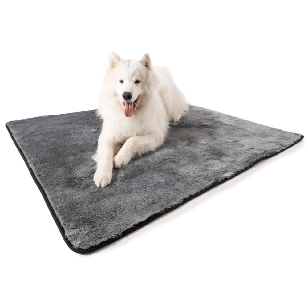 A fluffy white dog is lounging on the Paw PupProtector™ Short Fur Waterproof Throw Blanket - Charcoal Grey Dog Blanket