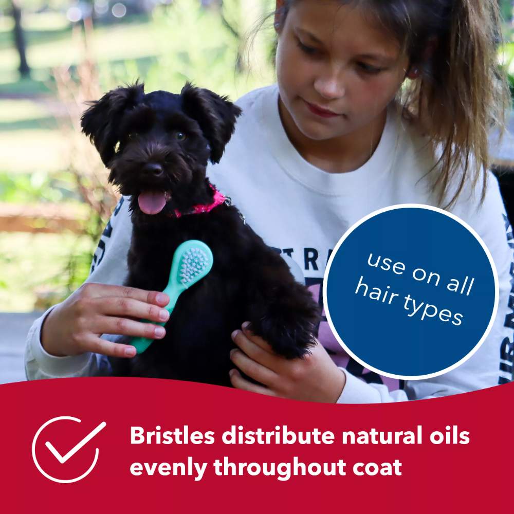 A girl is brushing a small black dog, demonstrating how the Coastal Pet Products Li'l Pals Dog Combo Brush effectively distributes natural oils evenly