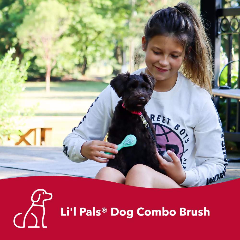 A girl is gently brushing a small black dog with the Coastal Pet Products Li'l Pals Dog Combo Brush