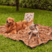 A golden retriever and a French bulldog are lounging on the Paw PupProtector™ Short Fur Waterproof Throw Blanket - Sable Tan during a picnic