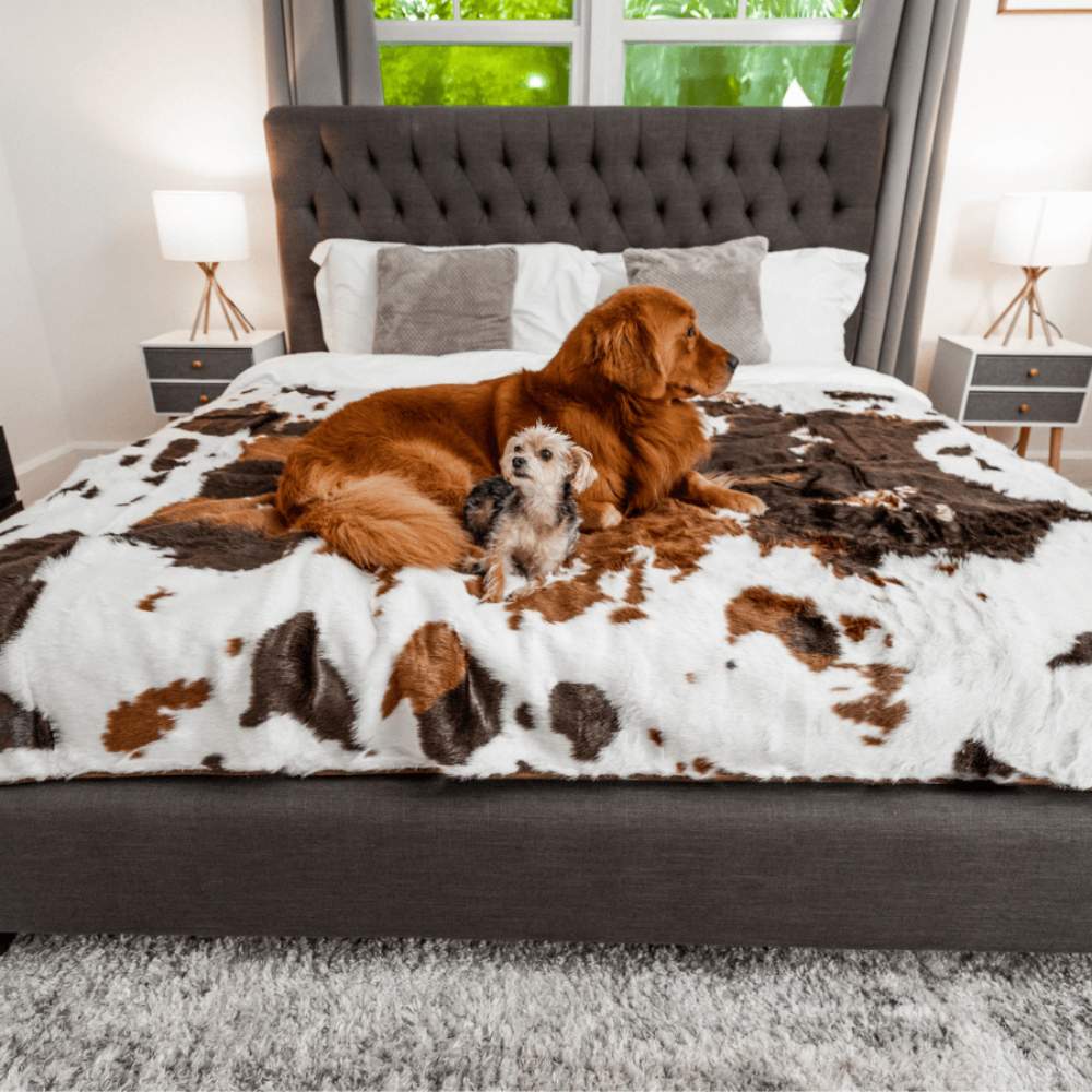 A golden retriever and a small dog are sitting on a bed covered with the Paw PupProtector™ Waterproof Throw Blanket - Brown Faux Cowhide Indestructible Dog Blanket