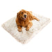 A golden retriever comfortably lying on a Rectangle White with Brown Accents Paw PupRug Faux Fur Orthopedic Dog Bed