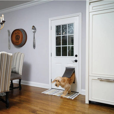 A golden retriever exits through the PetSafe Extreme Weather Pet Door in a white residential door