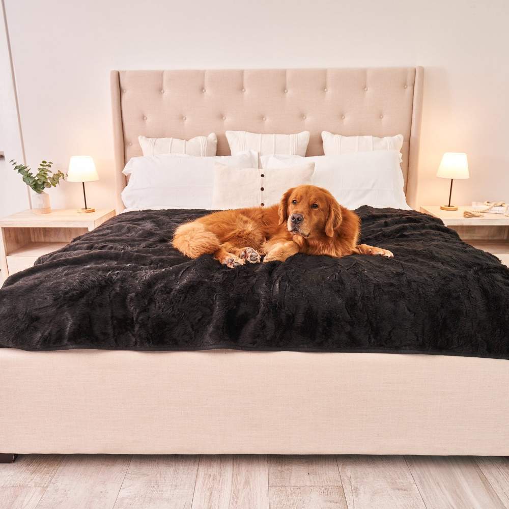 A golden retriever is comfortably lying on a bed covered with the Paw PupProtector™ Short Fur Waterproof Throw Blanket - Midnight Black Dog Blankets