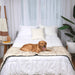A golden retriever is comfortably resting on a bed with the Paw PupProtector™ Waterproof Bed Runner - White with Brown Accents