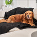 A golden retriever is happily lounging on a couch covered with the Paw PupProtector™ Short Fur Waterproof Throw Blanket - Midnight Black