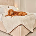 A golden retriever is lying comfortably on a bed covered with the Paw PupProtector™ Short Fur Waterproof Throw Blanket - Polar White