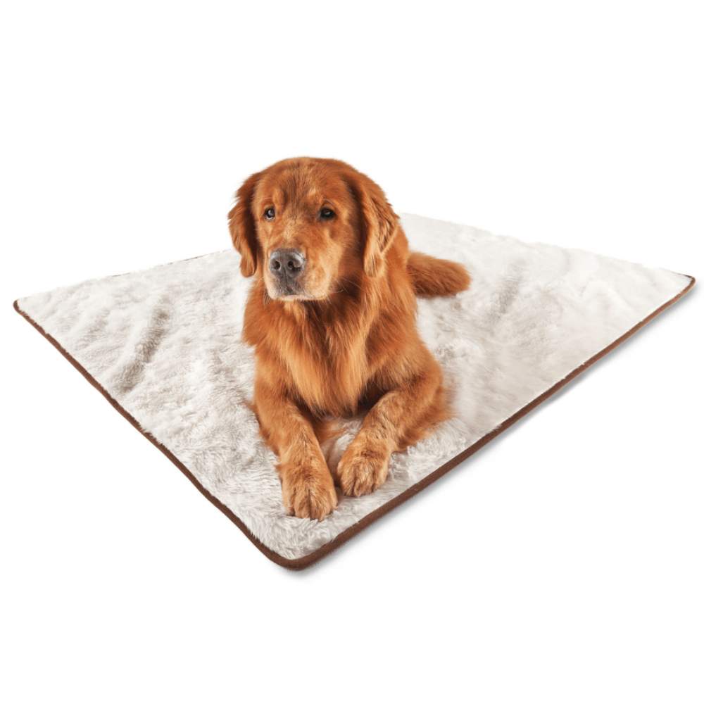 A golden retriever is lying comfortably on the Paw PupProtector™ Short Fur Waterproof Throw Blanket - Polar White