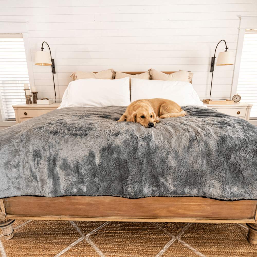A golden retriever is lying on a bed covered with the Paw PupProtector™ Short Fur Waterproof Throw Blanket - Charcoal Grey in a cozy bedroom