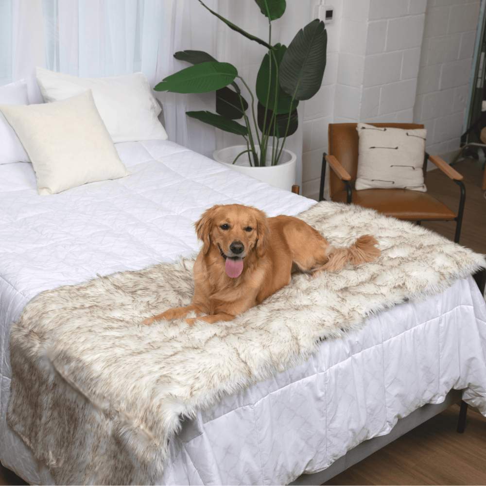 A golden retriever is lying on a bed covered with the Paw PupProtector™ Waterproof Bed Runner - White with Brown Accents