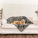 A golden retriever is lying on a couch covered with the Paw PupProtector™ Short Fur Waterproof Throw Blanket - Charcoal Grey Waterproof Dog Blankets