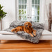 A golden retriever is lying on a white sofa covered with the Paw PupProtector™ Waterproof Throw Blanket - Charcoal Grey