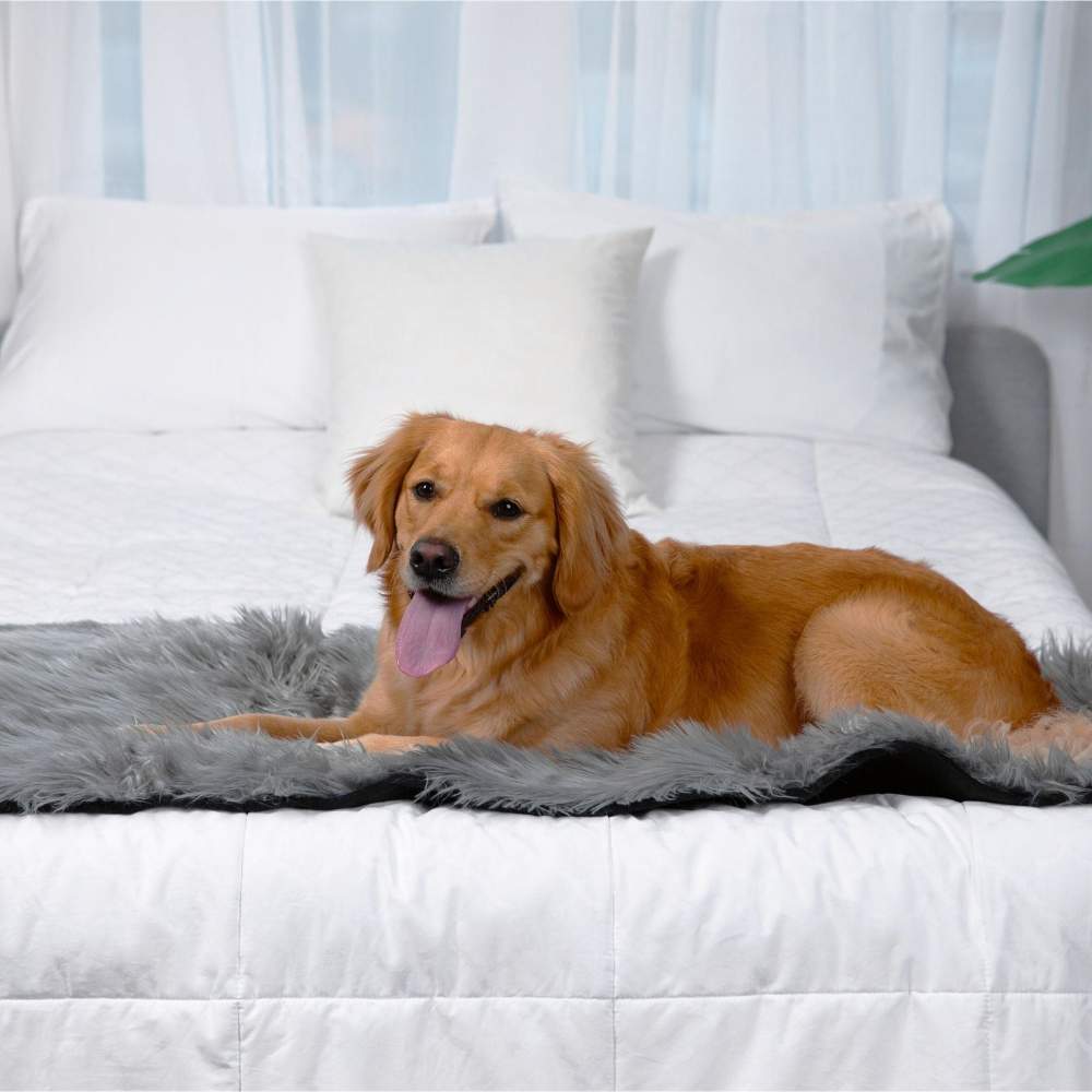 A golden retriever is lying on its side on a bed with the Paw PupProtector™ Waterproof Bed Runner - Charcoal Grey Doggy Blankets