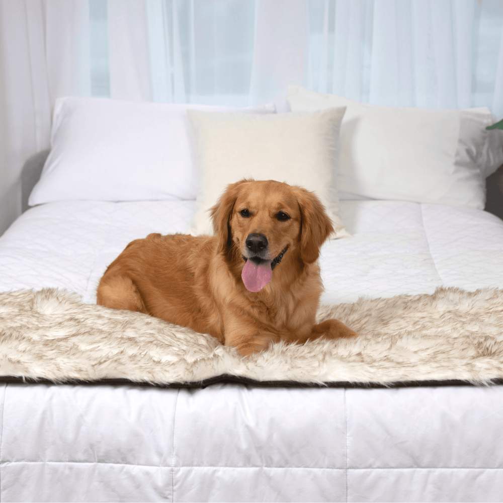 A golden retriever is lying on its side on a bed with the Paw PupProtector™ Waterproof Bed Runner - White with Brown Accents