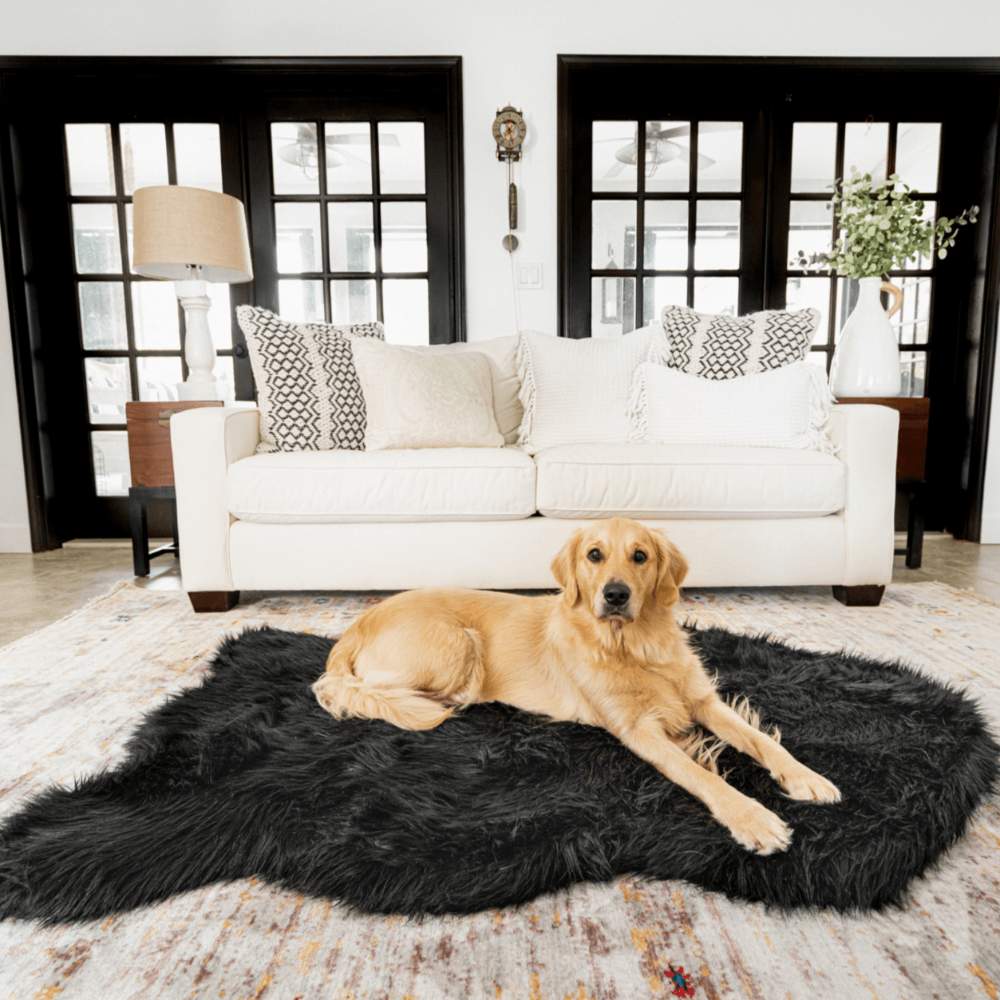 A golden retriever is lying on the Curve Midnight Black Paw PupRug Faux Fur Orthopedic Dog Bed in a stylish living room with white furniture