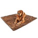 A golden retriever is lying on the Paw PupProtector™ Short Fur Waterproof Throw Blanket - Sable Tan Dog Blanket