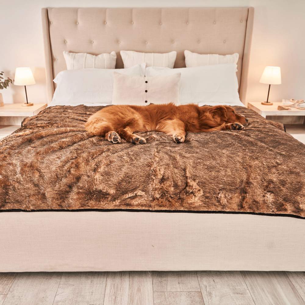 A golden retriever is peacefully sleeping on a bed covered with the Paw PupProtector™ Short Fur Waterproof Throw Blanket - Sable Tan
