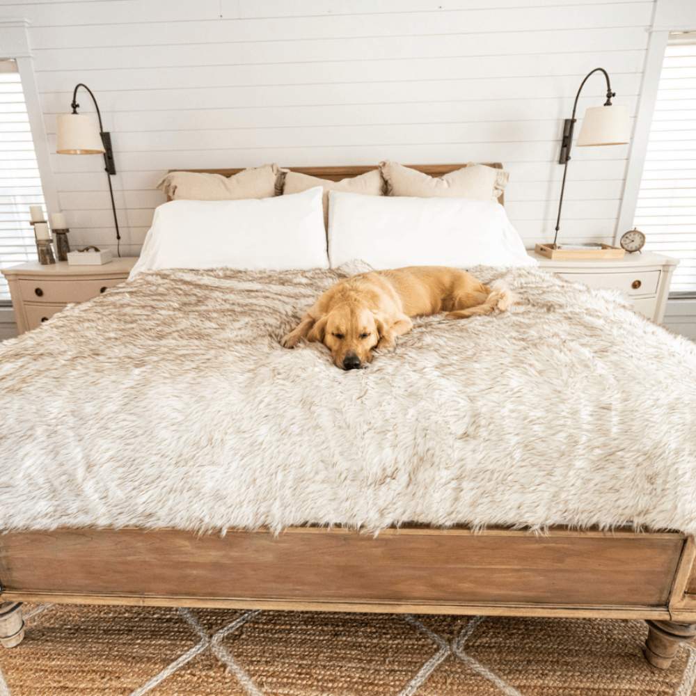 A golden retriever is peacefully sleeping on a bed covered with the Paw PupProtector™ Waterproof Throw Blanket - White with Brown Accents
