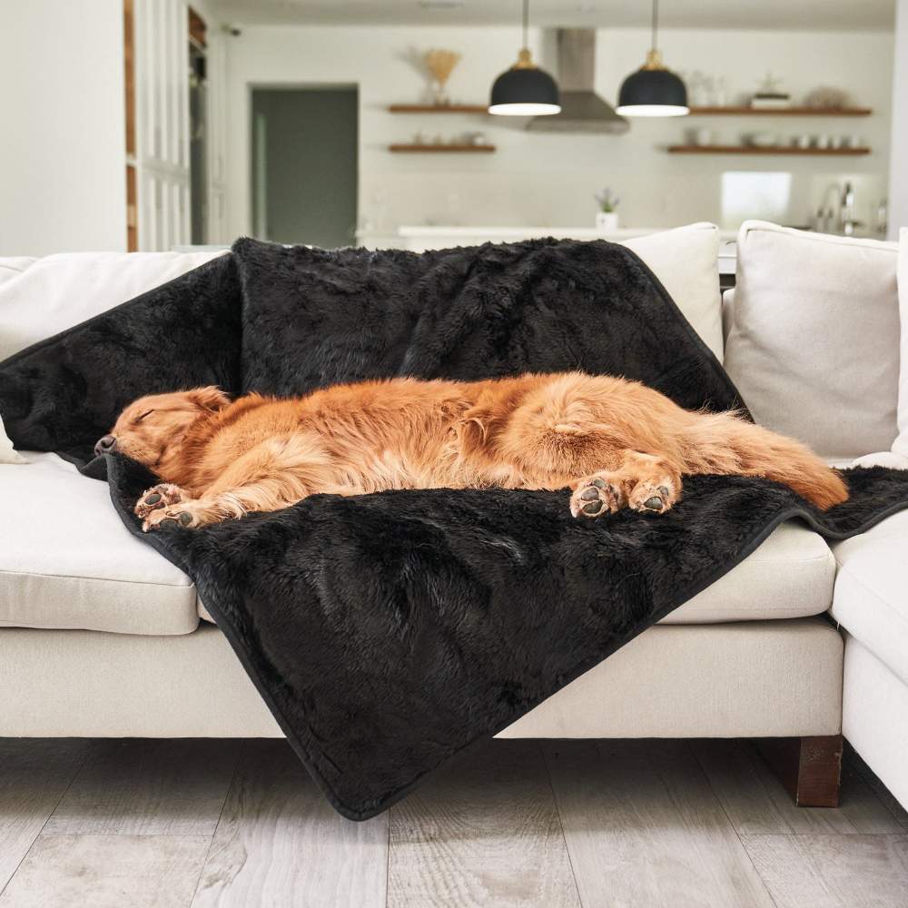 A golden retriever is peacefully sleeping on a couch covered with the Paw PupProtector™ Short Fur Waterproof Throw Blanket - Midnight Black