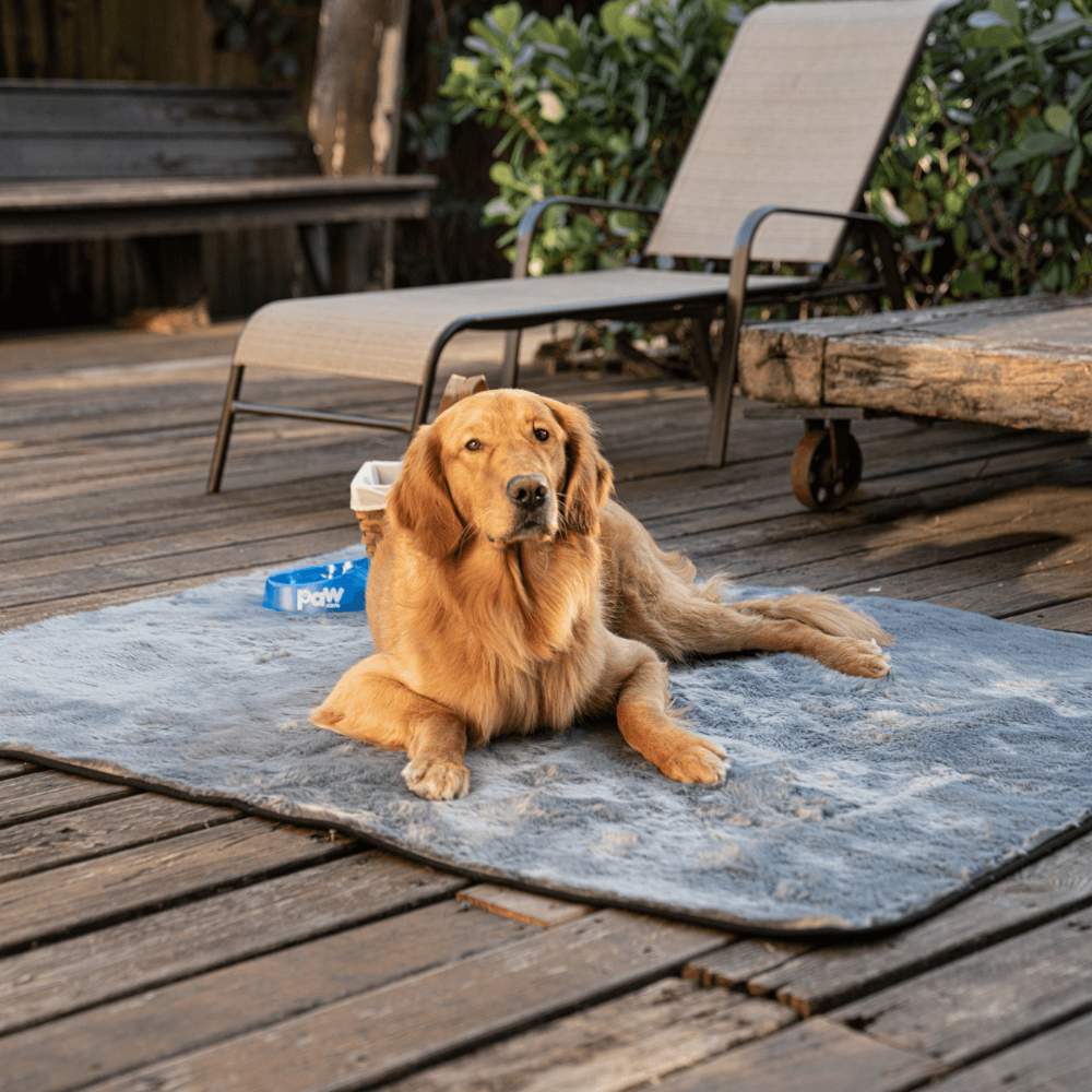 A golden retriever is relaxing outdoors on the Paw PupProtector™ Short Fur Waterproof Throw Blanket - Charcoal Grey Dog Waterproof Blanket