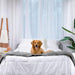 A golden retriever is sitting on a bed covered with the Paw PupProtector™ Waterproof Bed Runner - Charcoal Grey Doggy Blanket