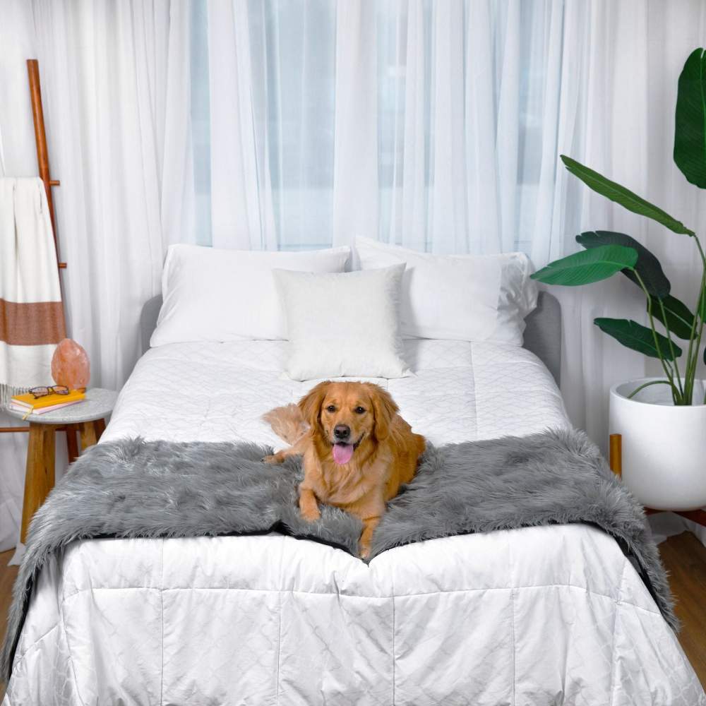 A golden retriever is sitting on a bed that features the Paw PupProtector™ Waterproof Bed Runner - Charcoal Grey Pet Blankets
